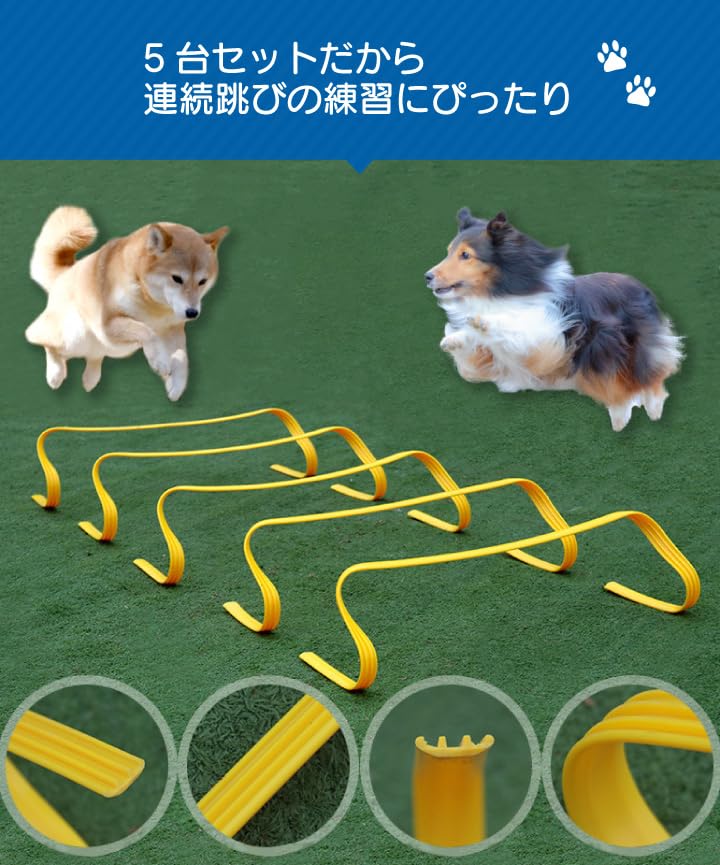 Amazon.co.jp: ソフトミニハードル ミニハードル アジリティ 犬 ドッグ